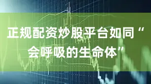 正规配资炒股平台如同“会呼吸的生命体”