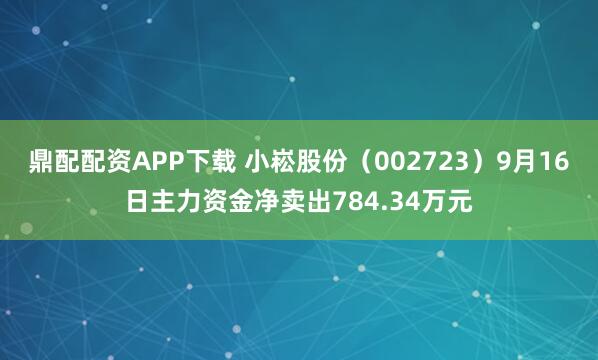 鼎配配资APP下载 小崧股份（002723）9月16日主力资金净卖出784.34万元