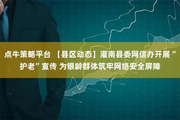 点牛策略平台 【县区动态】灌南县委网信办开展“护老”宣传 为银龄群体筑牢网络安全屏障